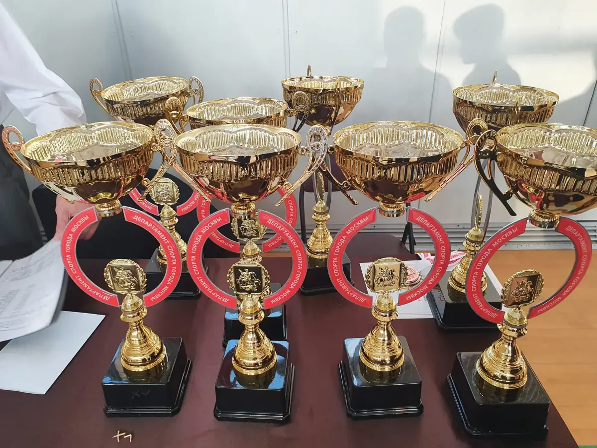 Чемпионат Москвы по всестилевому каратэ